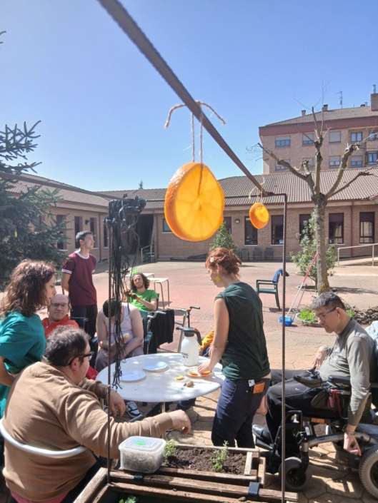Actividad de mantenimiento del huerto realizada por personas de APACE Burgos.