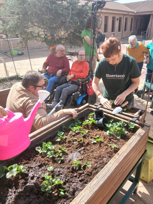 Participantes de APACE sembrando semillas durante la tercera sesión del proyecto.