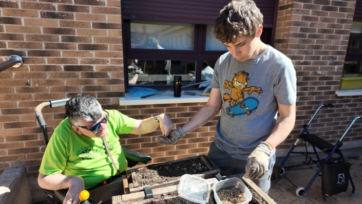 Detalle de plantas y semilleros utilizados en las sesiones de horticultura terapéutica.