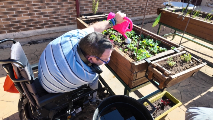 Actividad de identificación de plantas aromáticas en el huerto terapéutico.