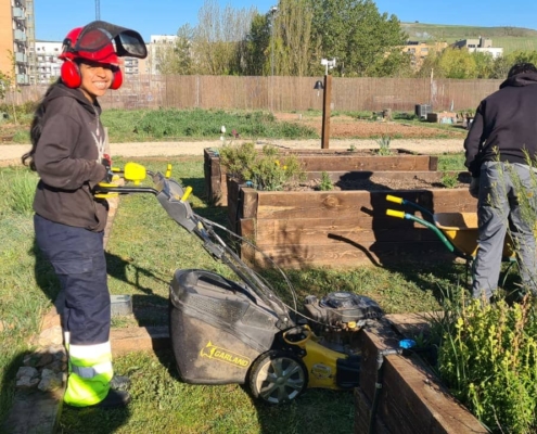 Dos estudiantes del CEE Puentesaúco realizan 80 horas de prácticas en Huerteco dentro del ciclo de Agrojardinería y Composiciones Florales, colaborando en tareas del huerto y talleres con APACE.